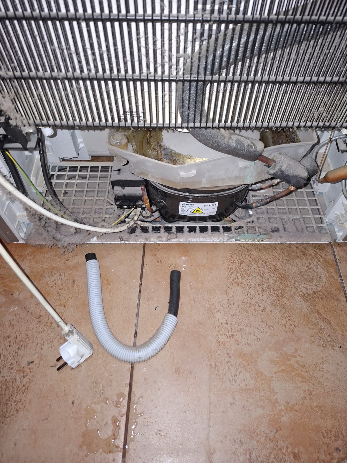 nevera con manguera de desgue quitada raparacion sencilla recolocamos y ya funciono